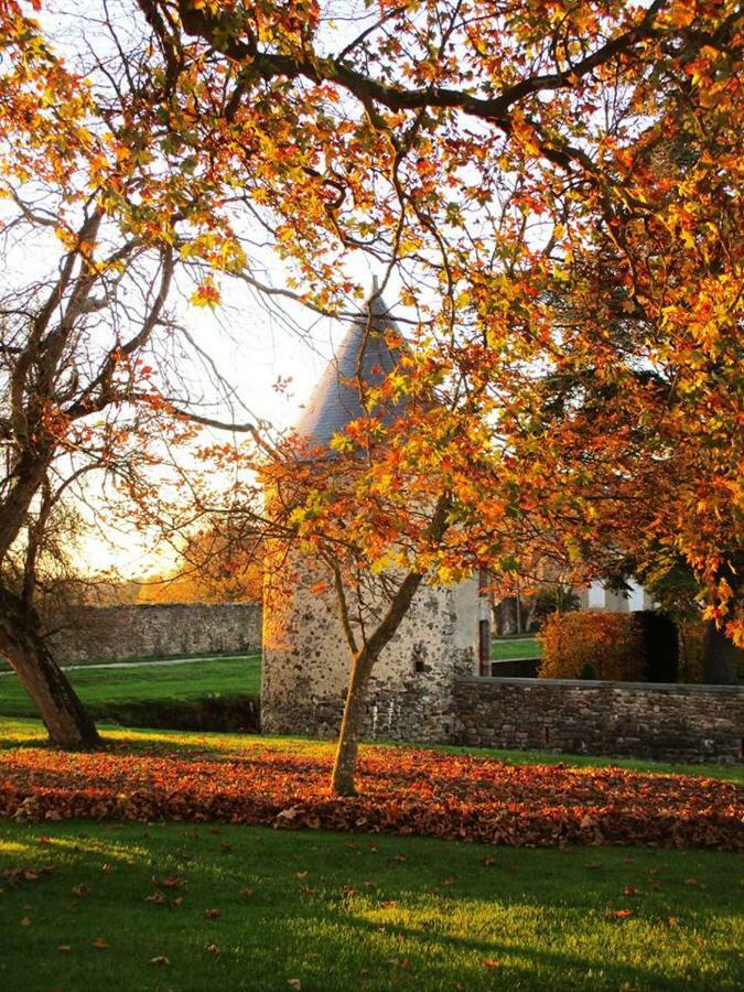 Logis De La Helberdiere Bed & Breakfast Cosse-en-Champagne Exterior photo